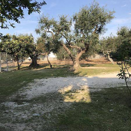 Villa Il Trullo Di Santanna Locorotondo Exterior foto